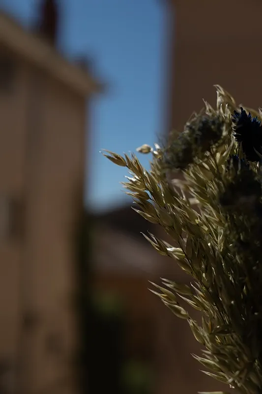Diaporama